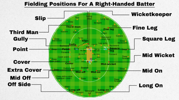 Cricket Fielding Positions